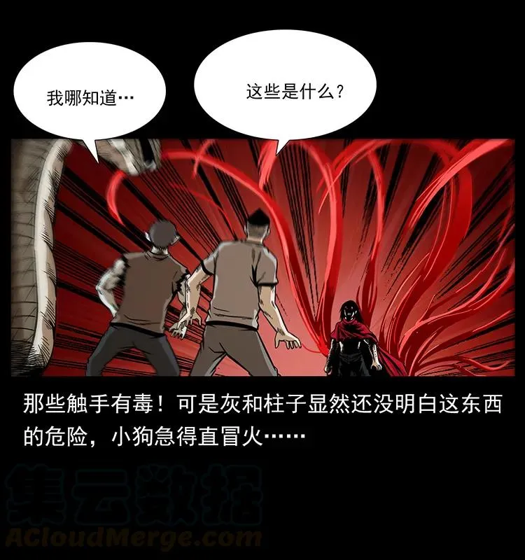189 龙家的实力 第21页