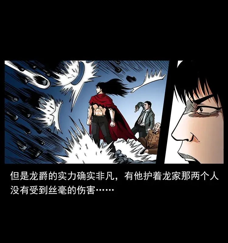 189 龙家的实力 第26页