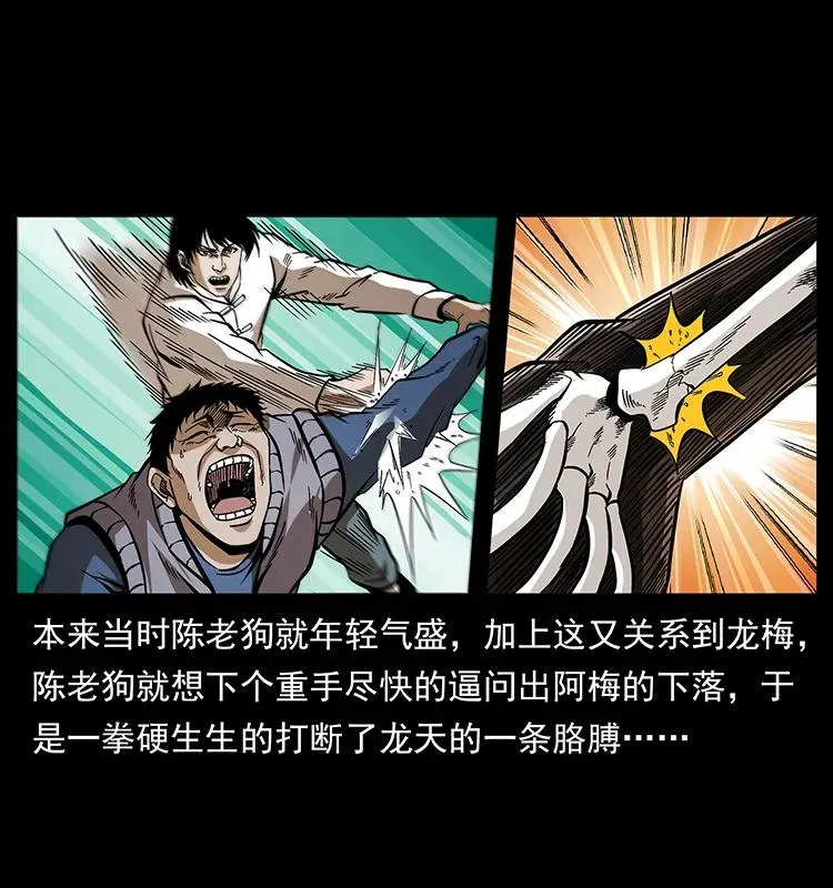 189 龙家的实力 第40页