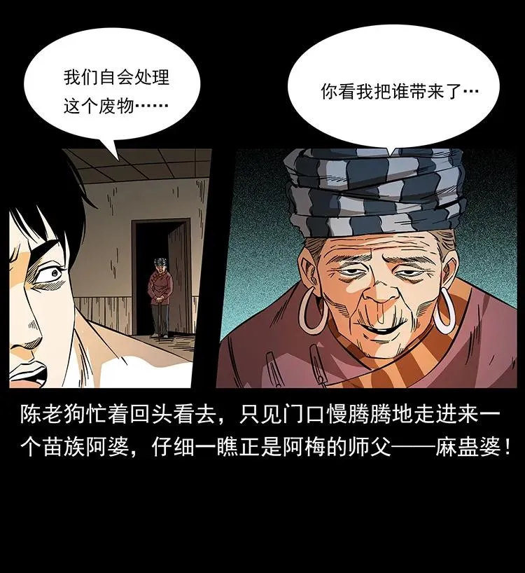 189 龙家的实力 第47页