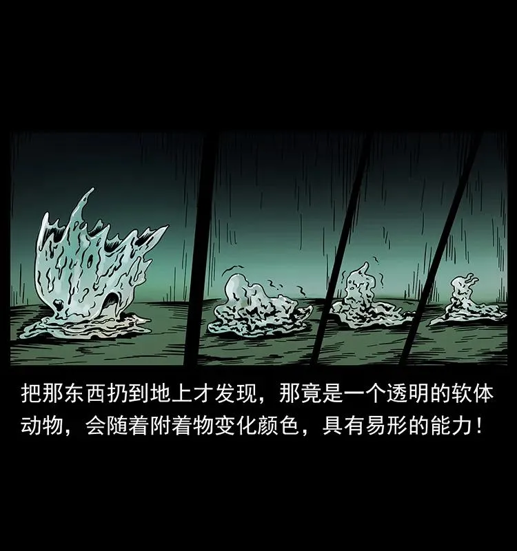 189 龙家的实力 第63页