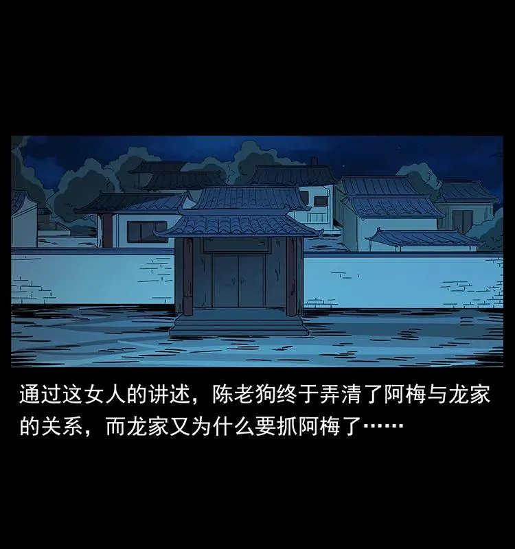 189 龙家的实力 第70页