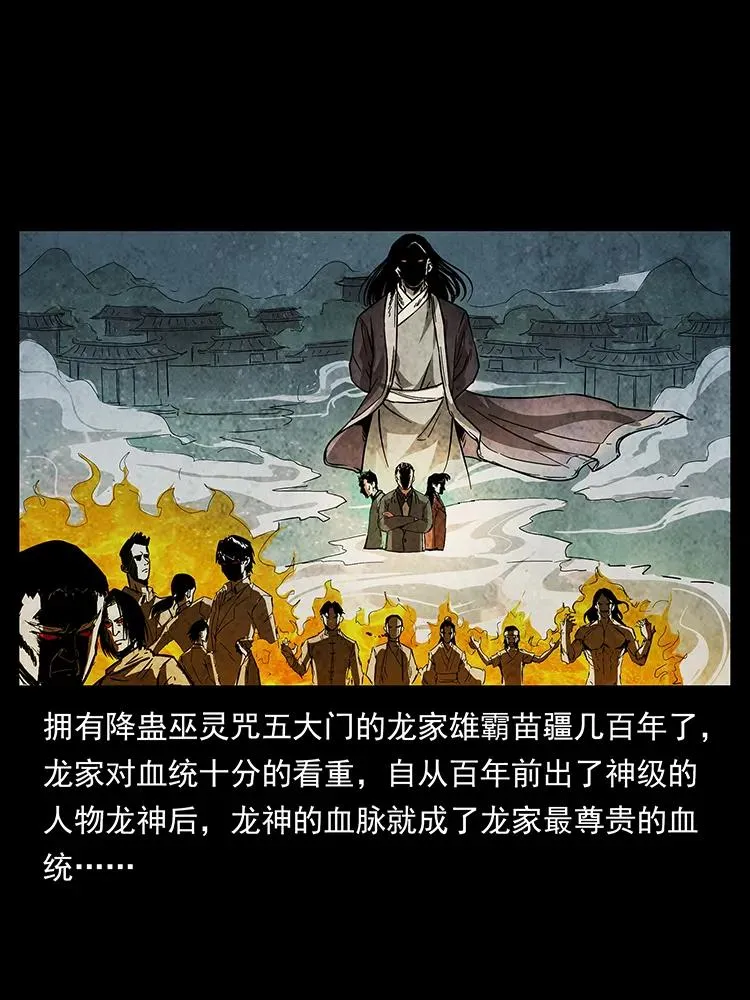 189 龙家的实力 第71页
