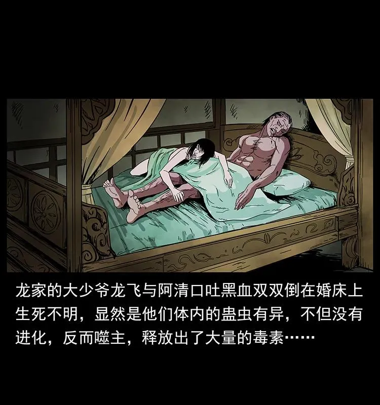 189 龙家的实力 第84页