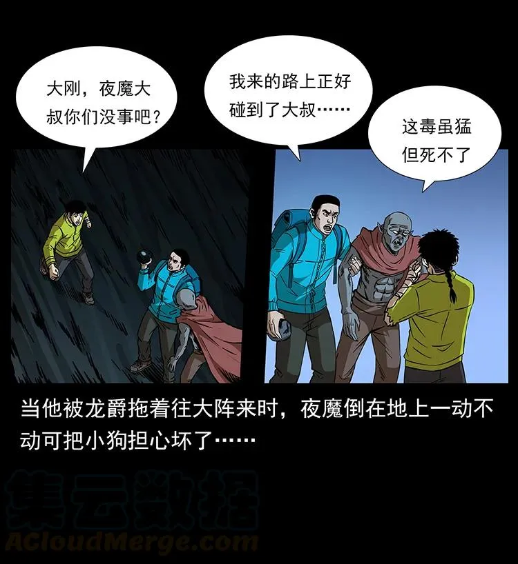 192 龙家的废材 第5页