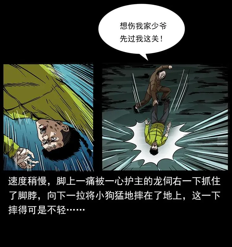 192 龙家的废材 第16页