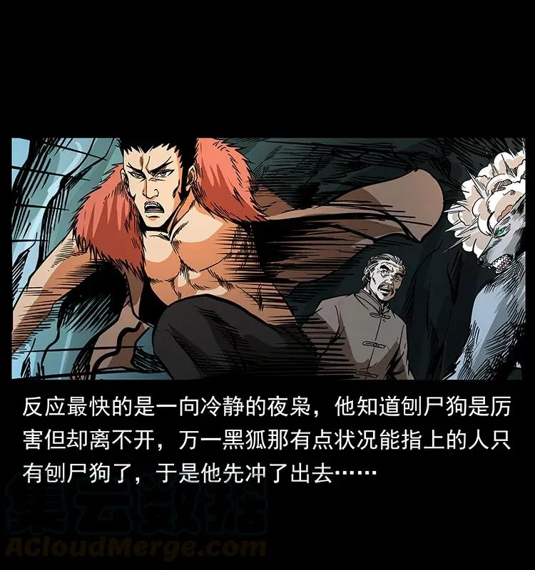 192 龙家的废材 第25页