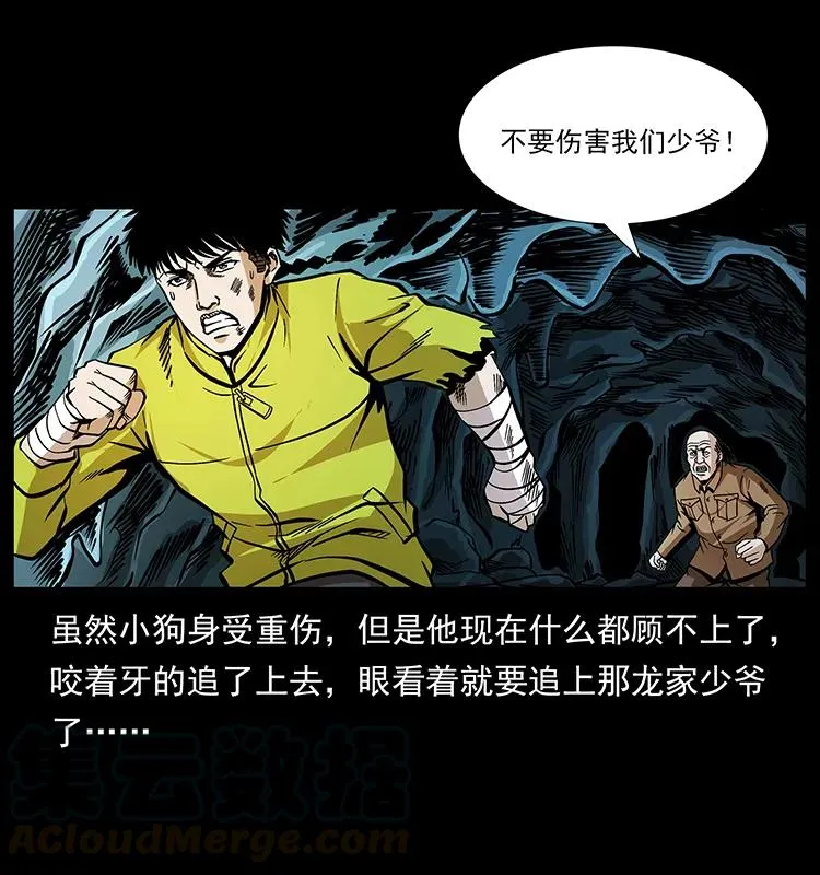 192 龙家的废材 第41页