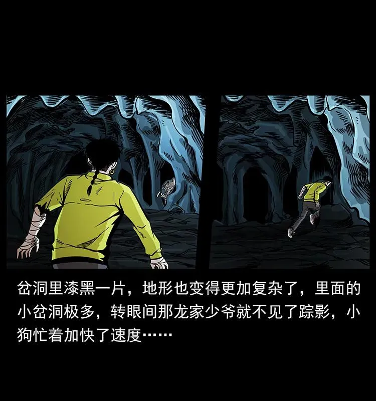 192 龙家的废材 第43页