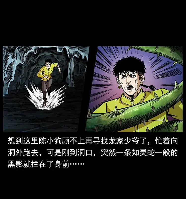 192 龙家的废材 第47页