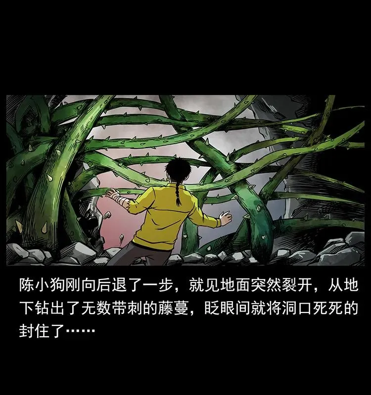 192 龙家的废材 第48页