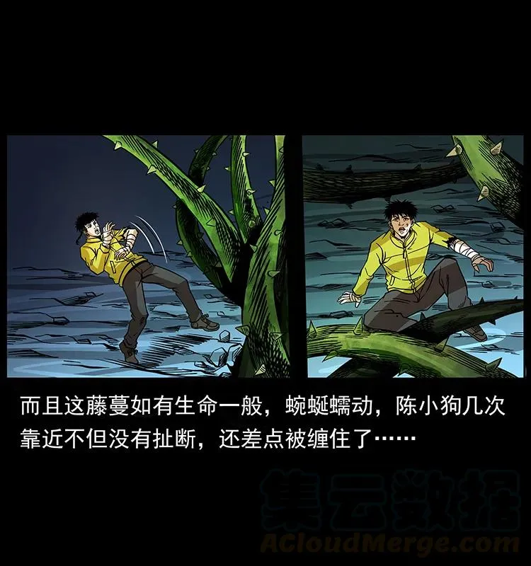 192 龙家的废材 第49页