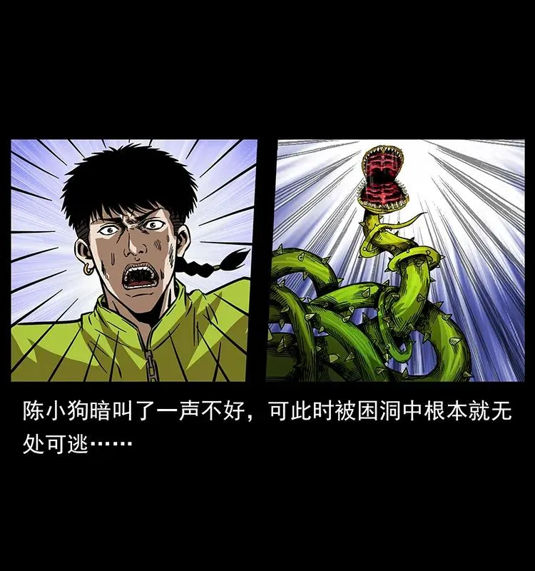192 龙家的废材 第62页