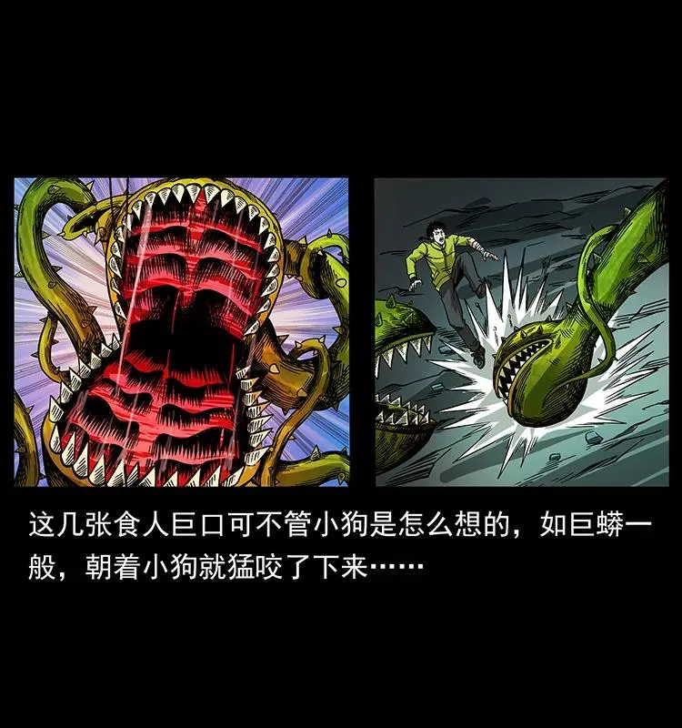 192 龙家的废材 第63页