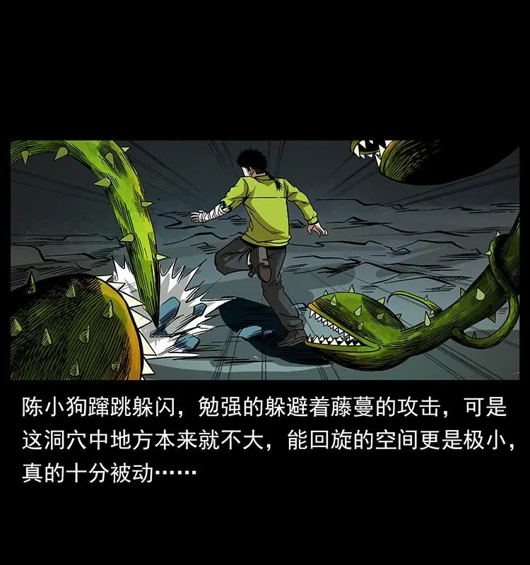 192 龙家的废材 第64页