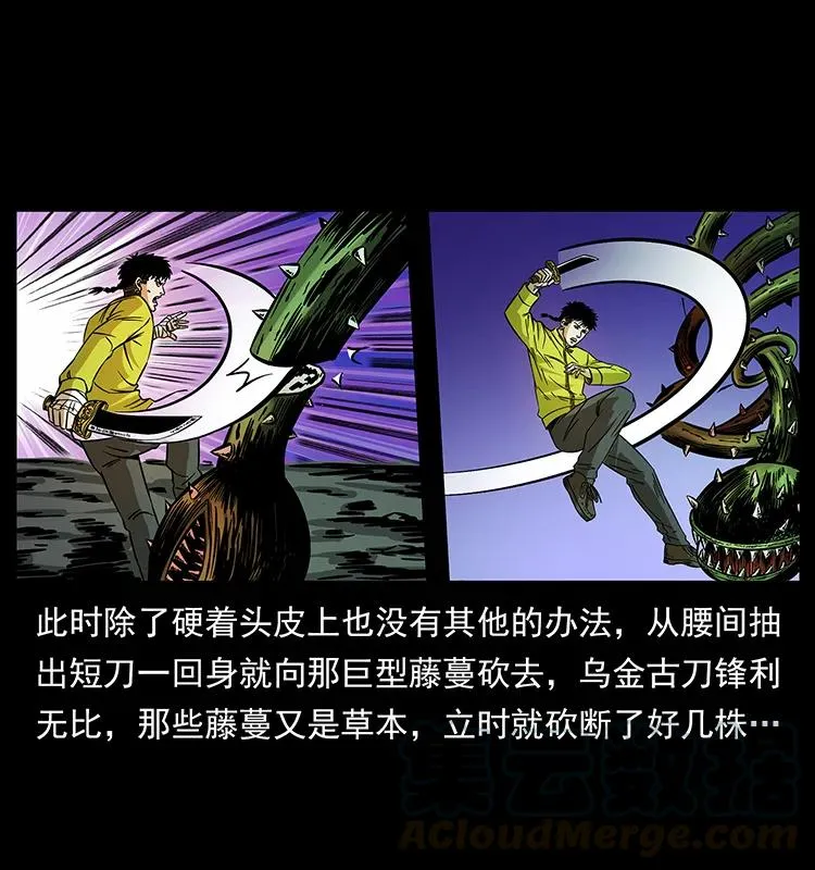 192 龙家的废材 第65页