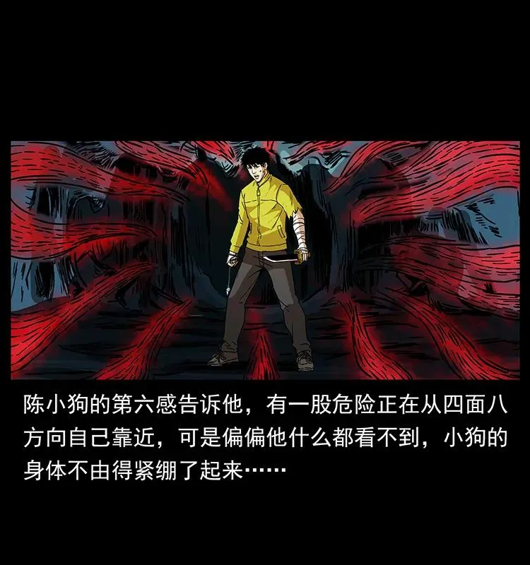 192 龙家的废材 第75页