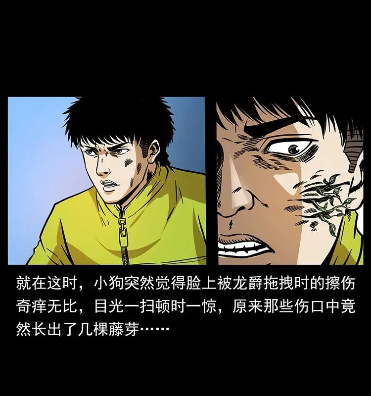 192 龙家的废材 第76页