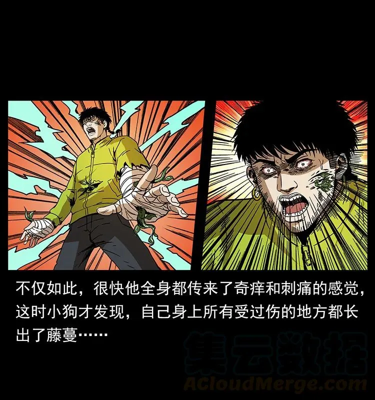 192 龙家的废材 第77页