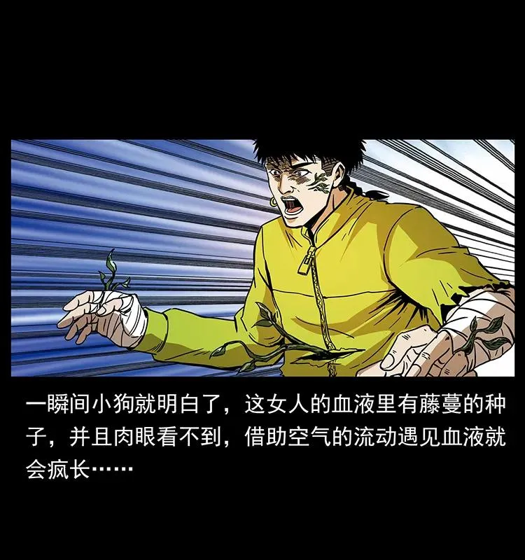 192 龙家的废材 第78页