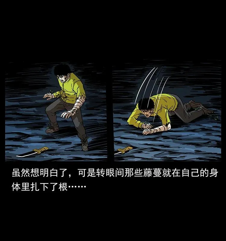 192 龙家的废材 第79页