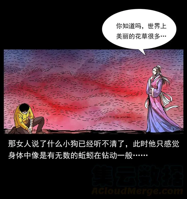192 龙家的废材 第81页