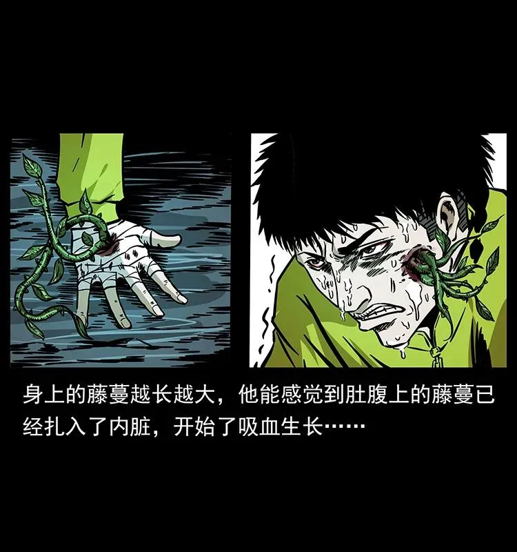 192 龙家的废材 第84页