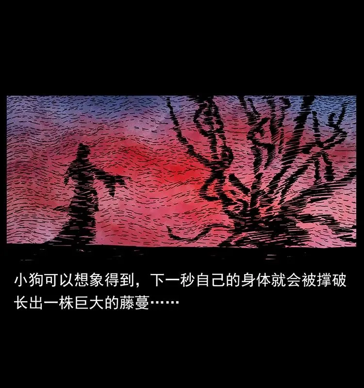 192 龙家的废材 第88页