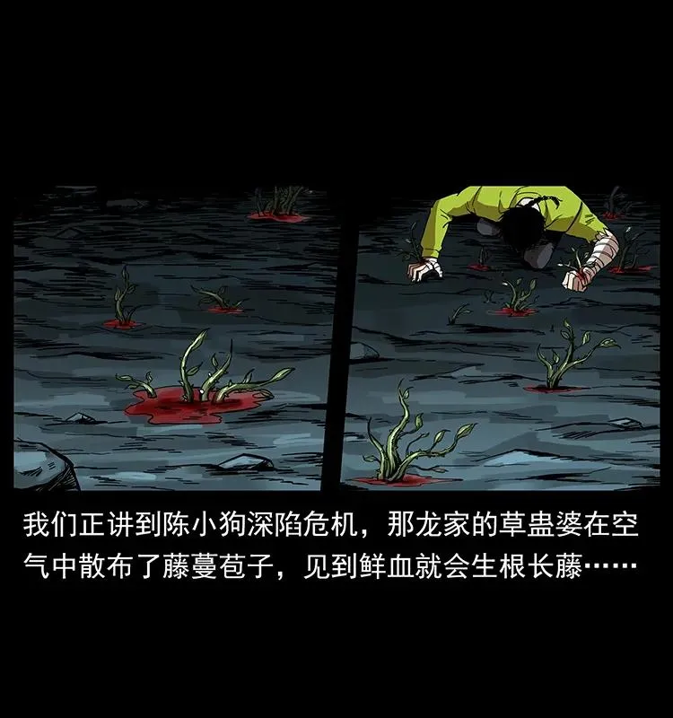 193 草蛊婆 第2页