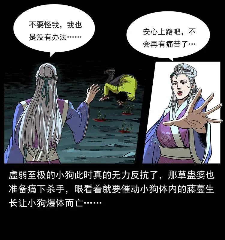 193 草蛊婆 第4页