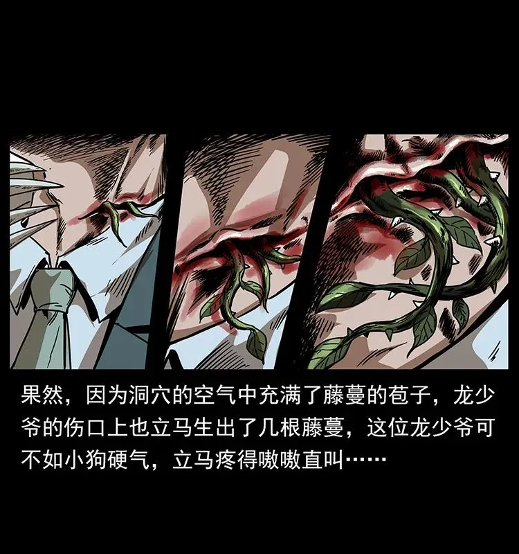 193 草蛊婆 第11页