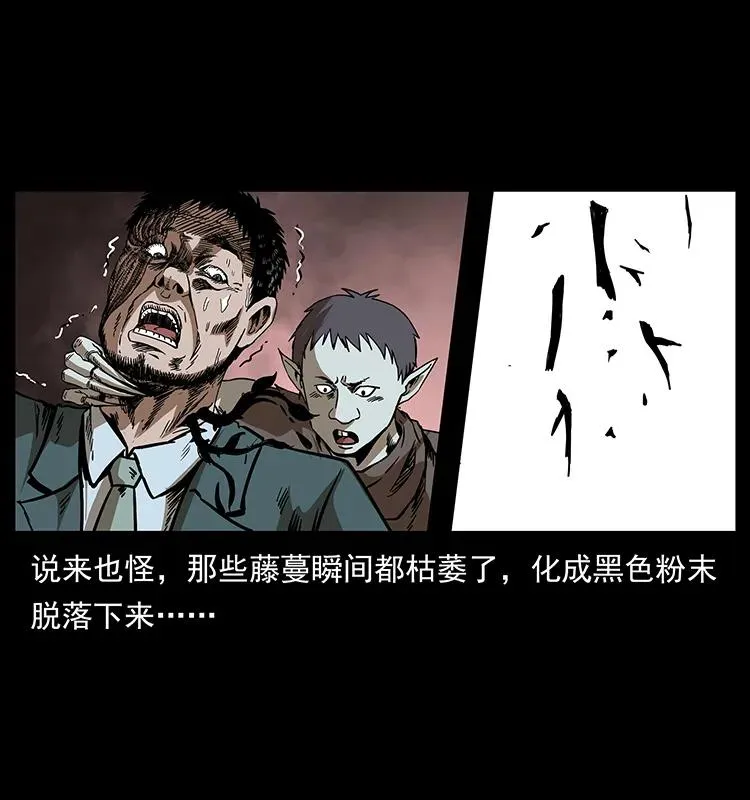 193 草蛊婆 第16页