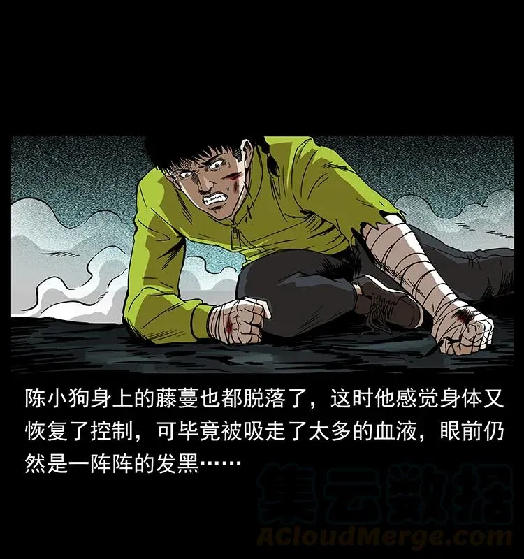 193 草蛊婆 第17页