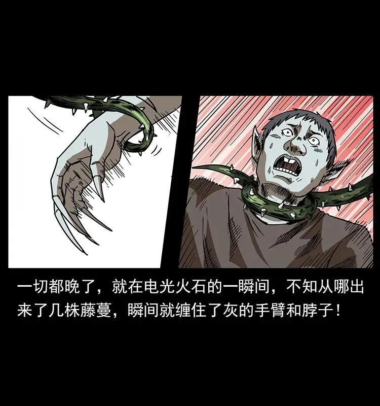 193 草蛊婆 第23页