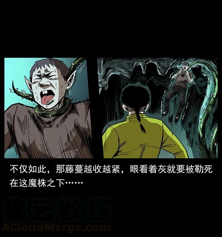 193 草蛊婆 第25页