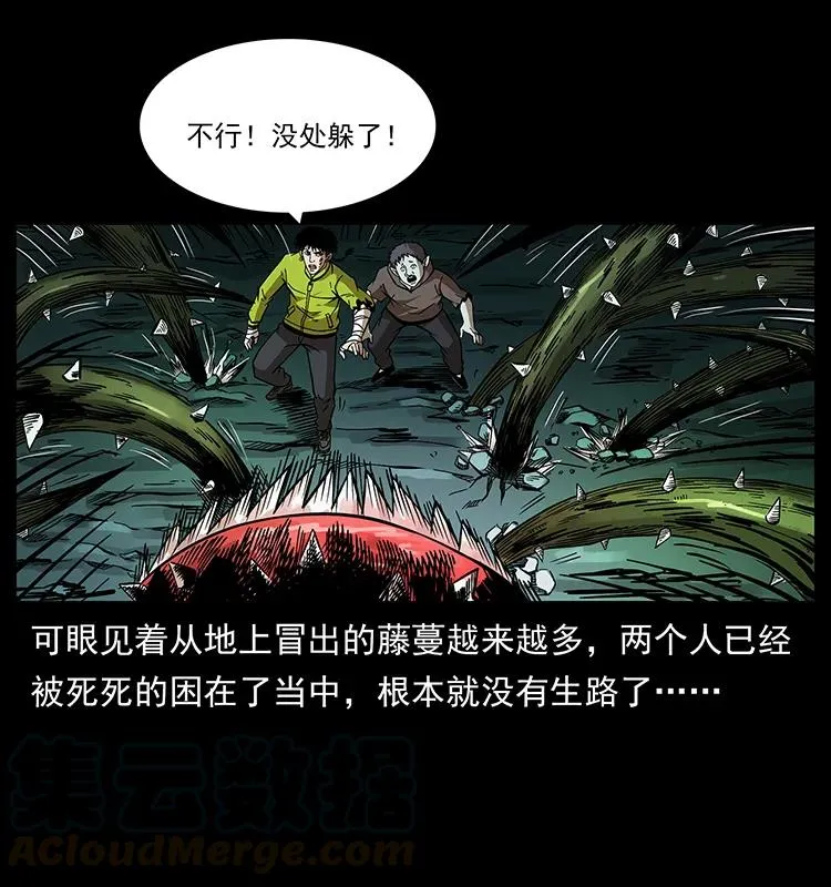193 草蛊婆 第41页