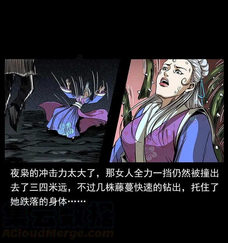 193 草蛊婆 第45页