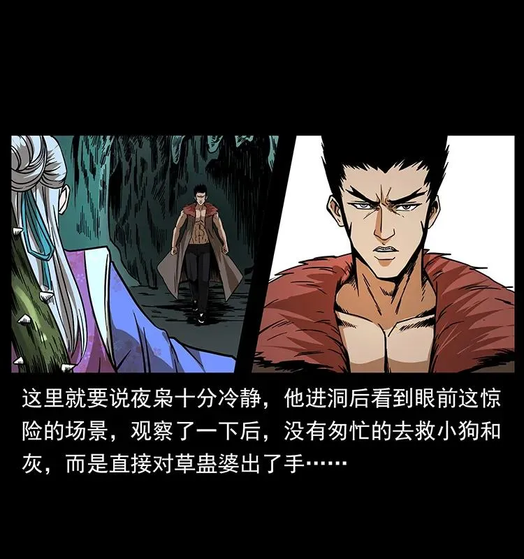193 草蛊婆 第46页