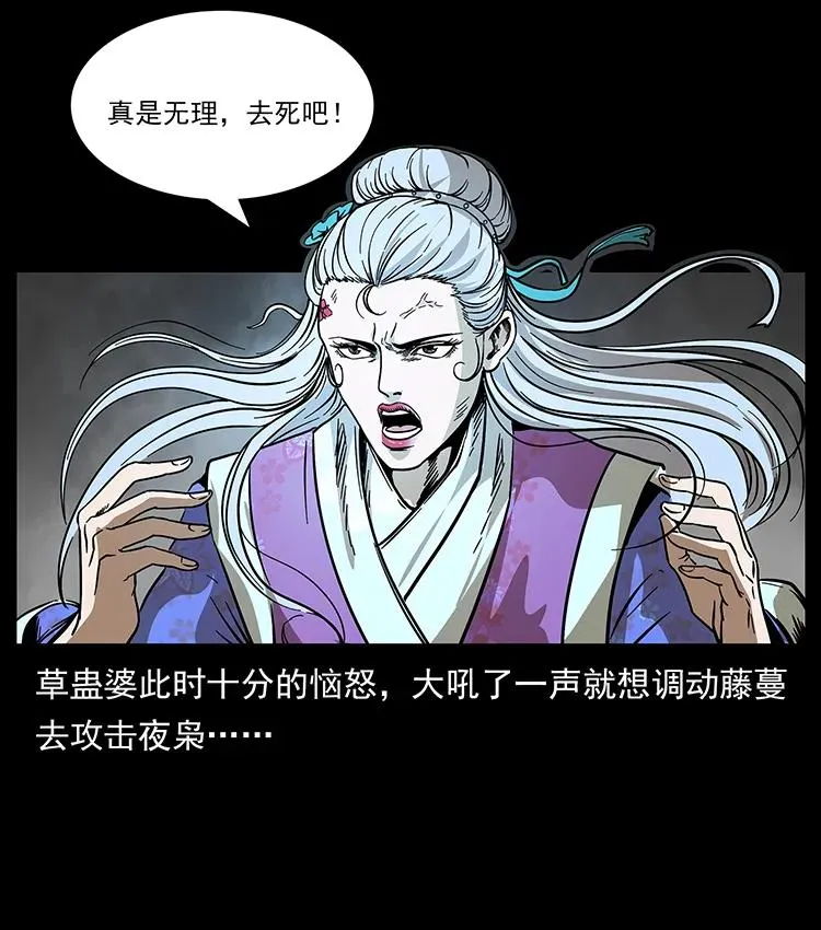193 草蛊婆 第48页