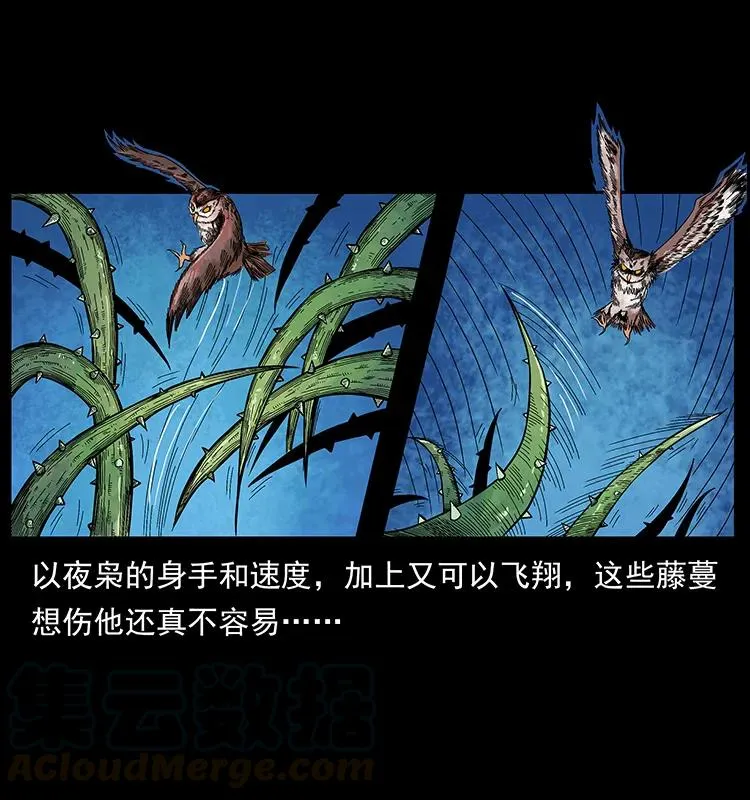 193 草蛊婆 第57页
