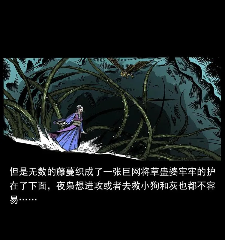 193 草蛊婆 第58页