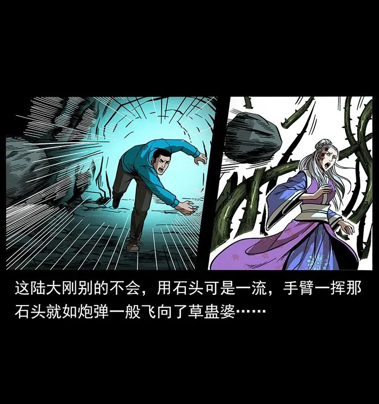 193 草蛊婆 第64页