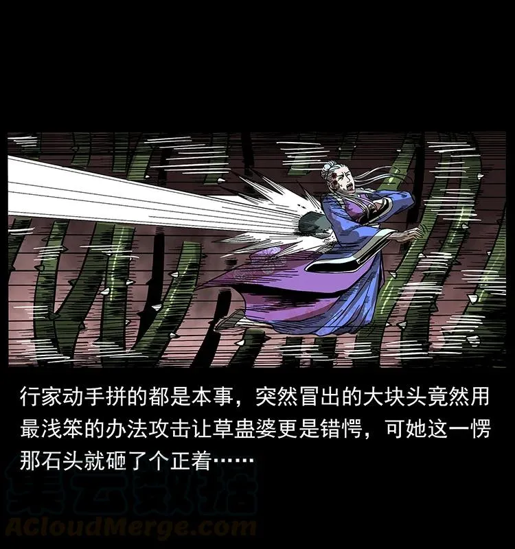 193 草蛊婆 第65页