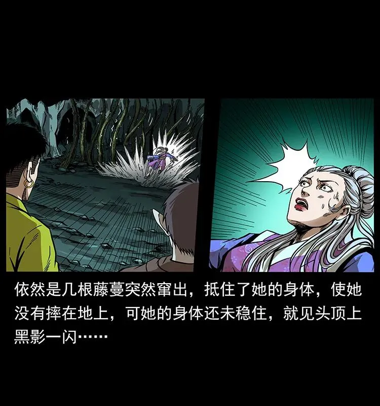 193 草蛊婆 第66页