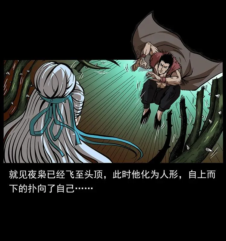 193 草蛊婆 第67页