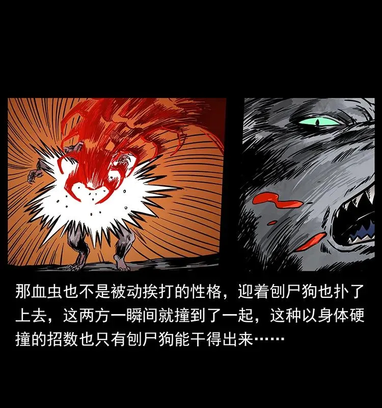 194 血蛊王 第30页
