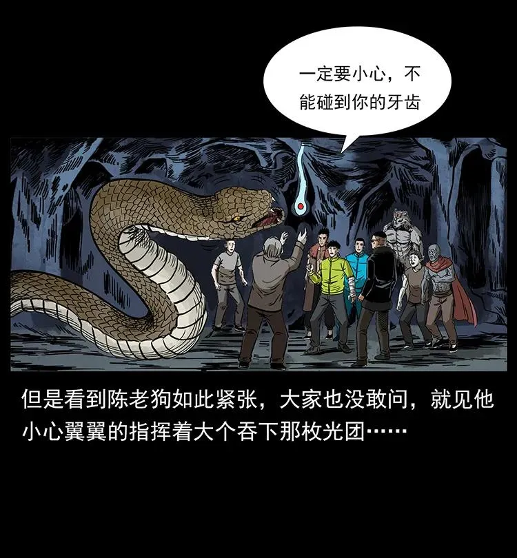 194 血蛊王 第74页
