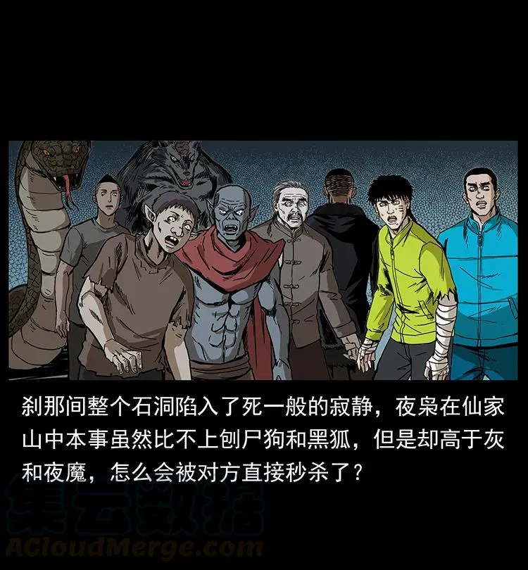 195 龙神 第29页