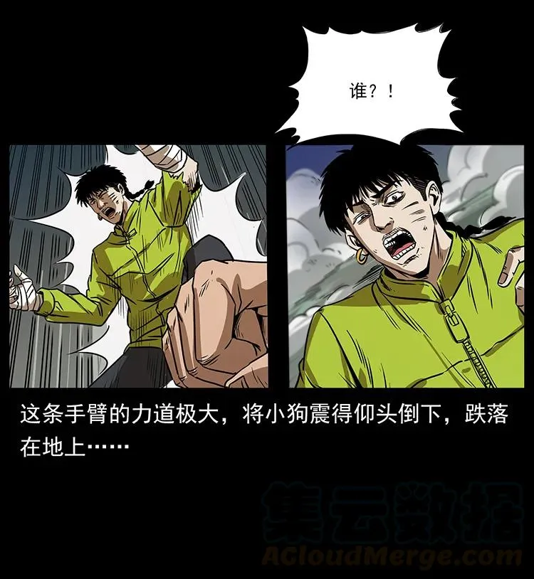 195 龙神 第37页