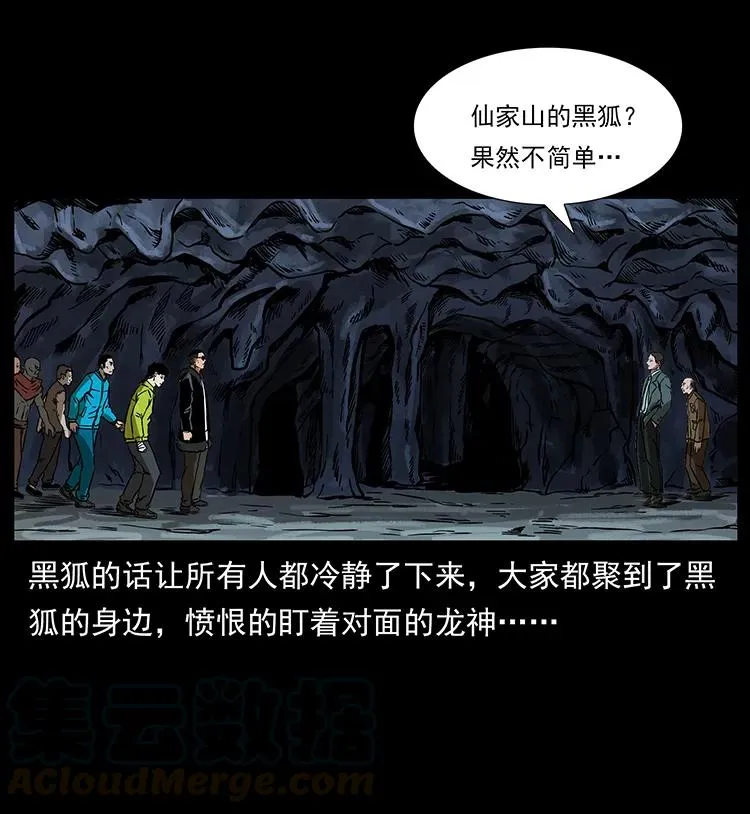 195 龙神 第41页